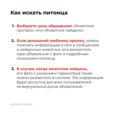 Домашние животные квадрат 07