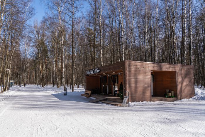 Мещерский парк в Одинцово зимой