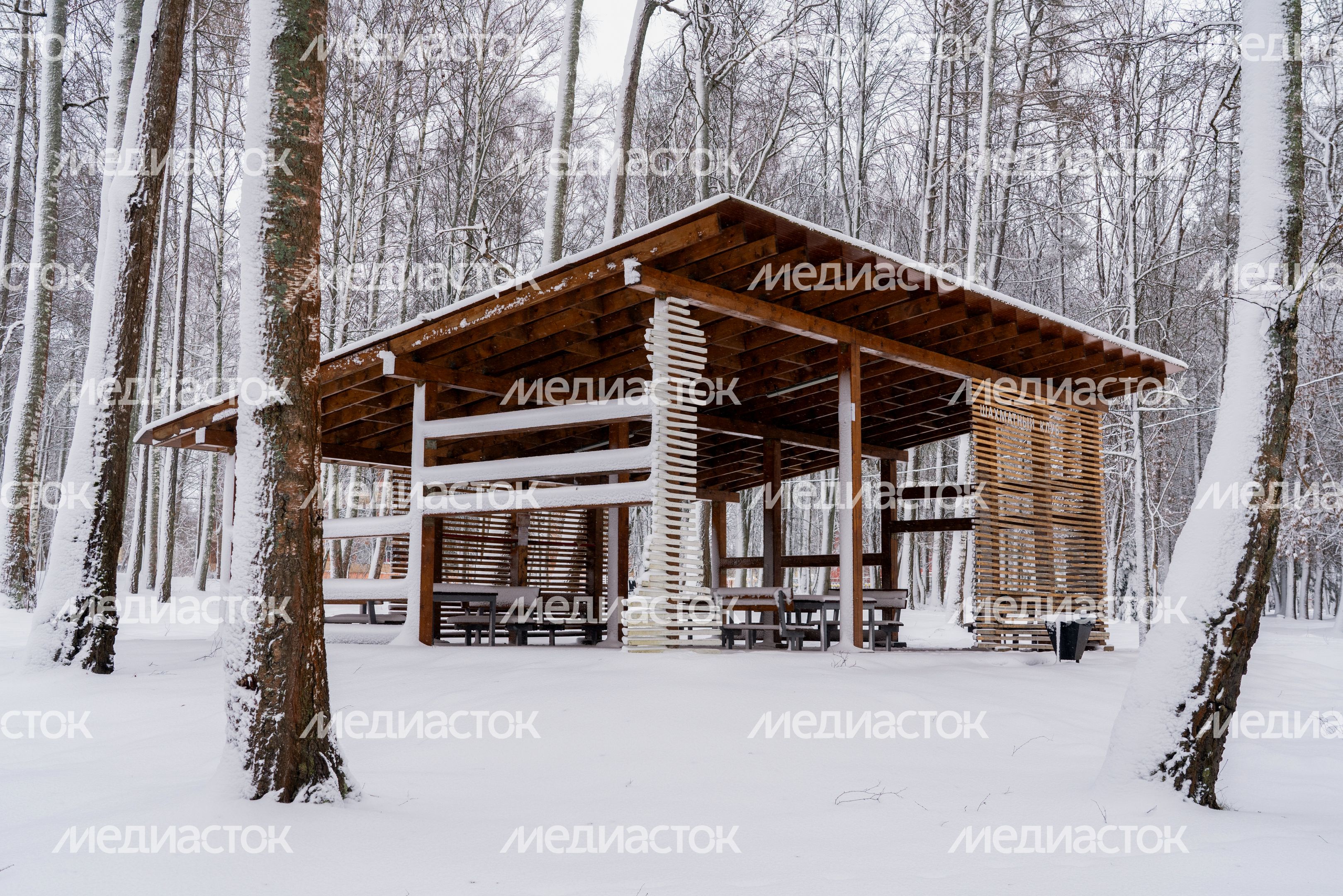 Беседка в Высоковском городском парке культуры и отдыха «Березовый» в округе Клин зимой Беседка в Высоковском городском парке культуры и отдыха «Березовый» в округе Клин зимой