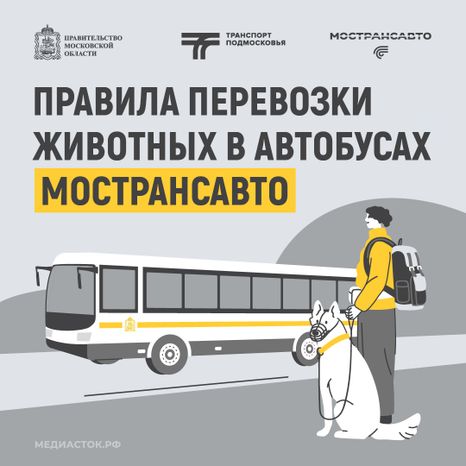 Правила перевозки животных квадрат 01