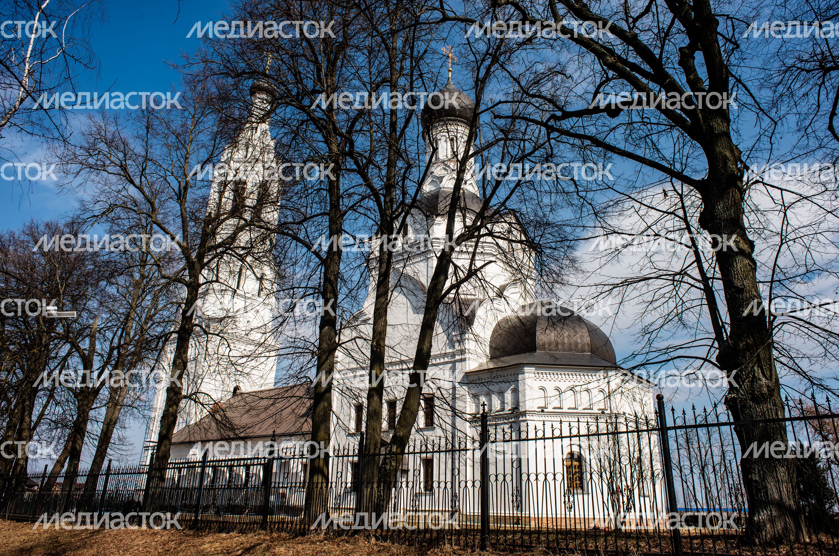 Весенние виды Церкви Благовещения Пресвятой Богородицы в селе Липицы