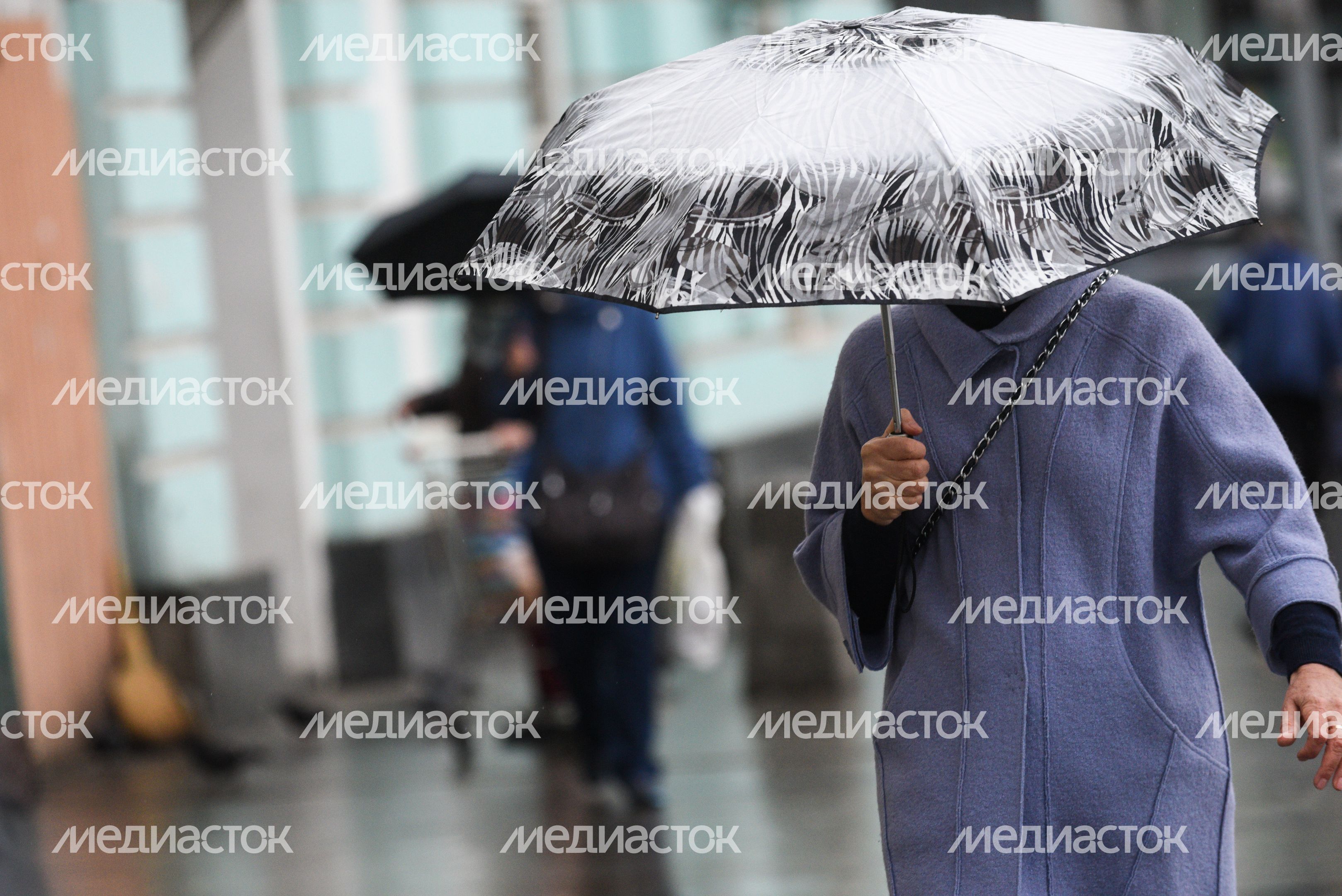 Дождливая погода в Москве