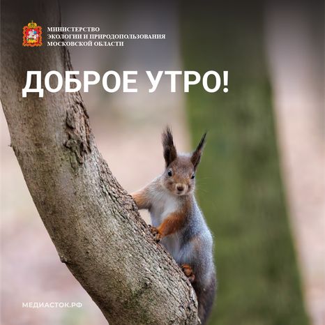 Доброе утро квадрат 07