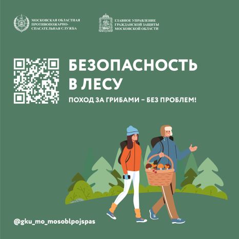 Квадрат грибы 01.jpg