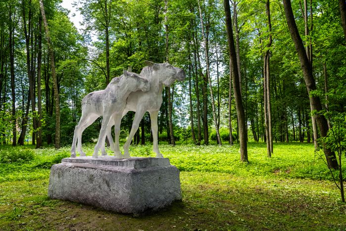 Центральный парк имени В.В. Воровского в Наро-Фоминске летом