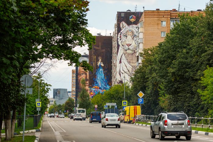 Муралы в Железнодорожном, Балашиха