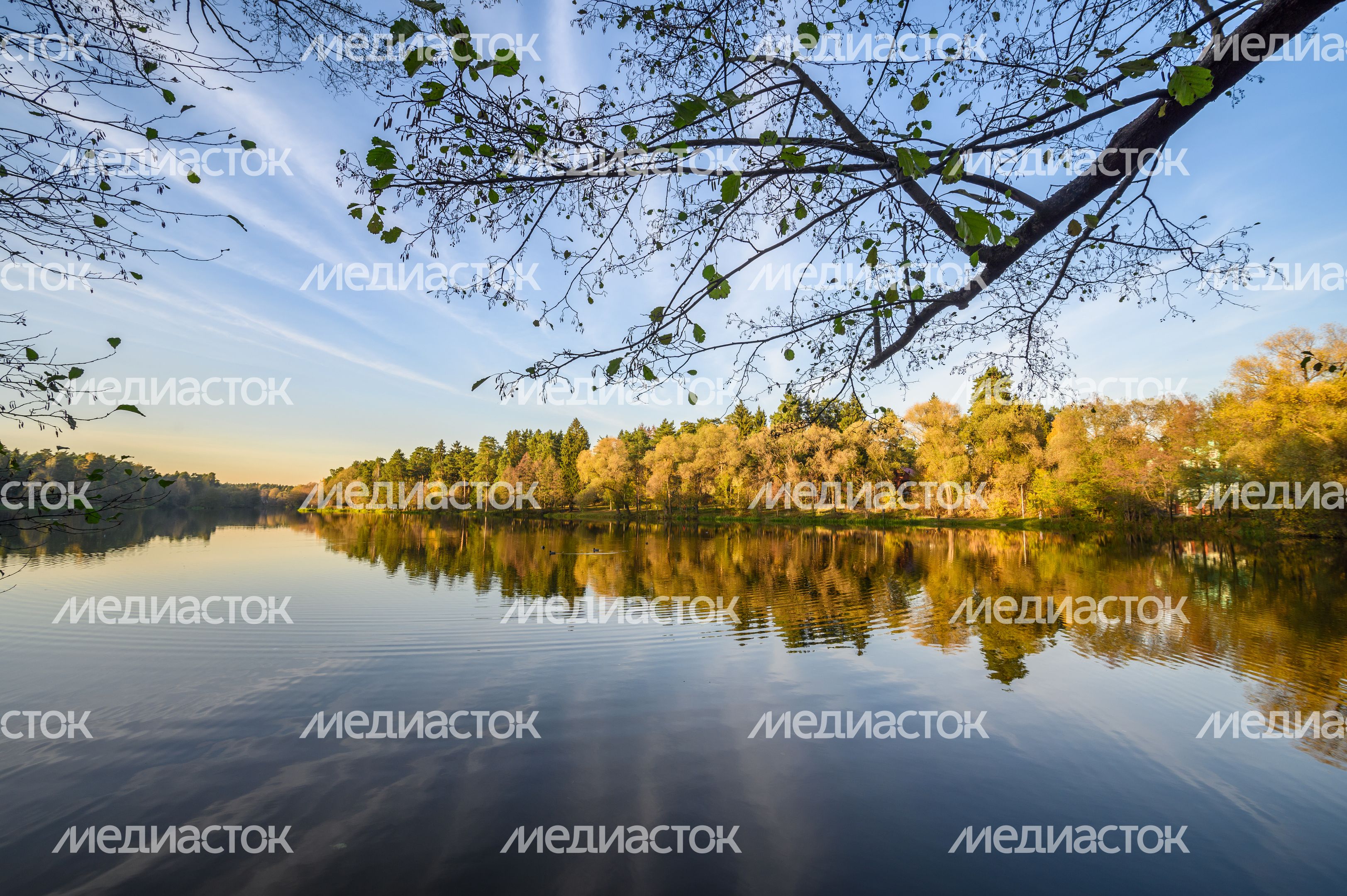 Осень на озере Хрипань в Кратово Раменского округа Осень на озере Хрипань в Кратово Раменского округа