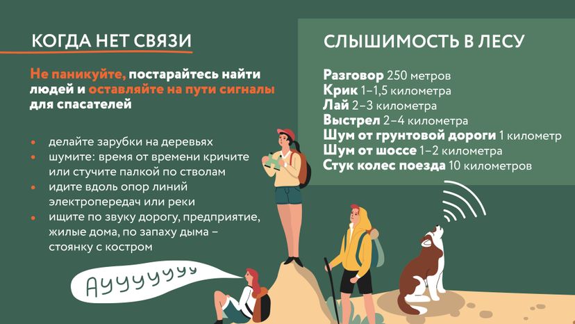 Как не потеряться в лесу