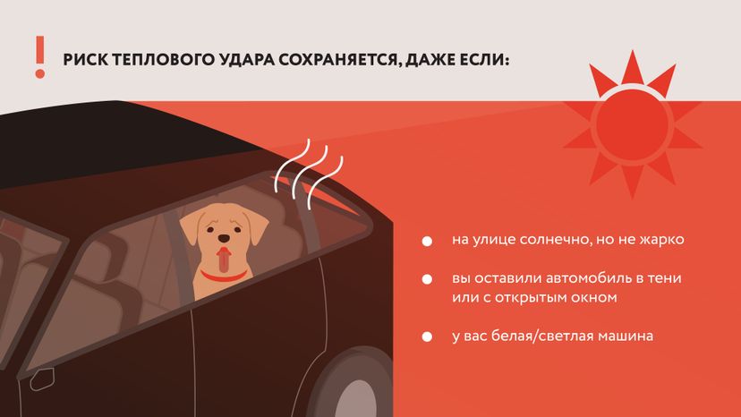Горизонтали не оставляйте детей 03.jpg