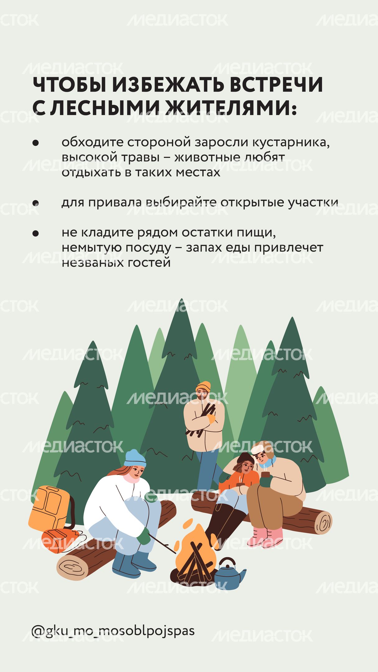 Вертикаль Безопасность в лесу 06.jpg