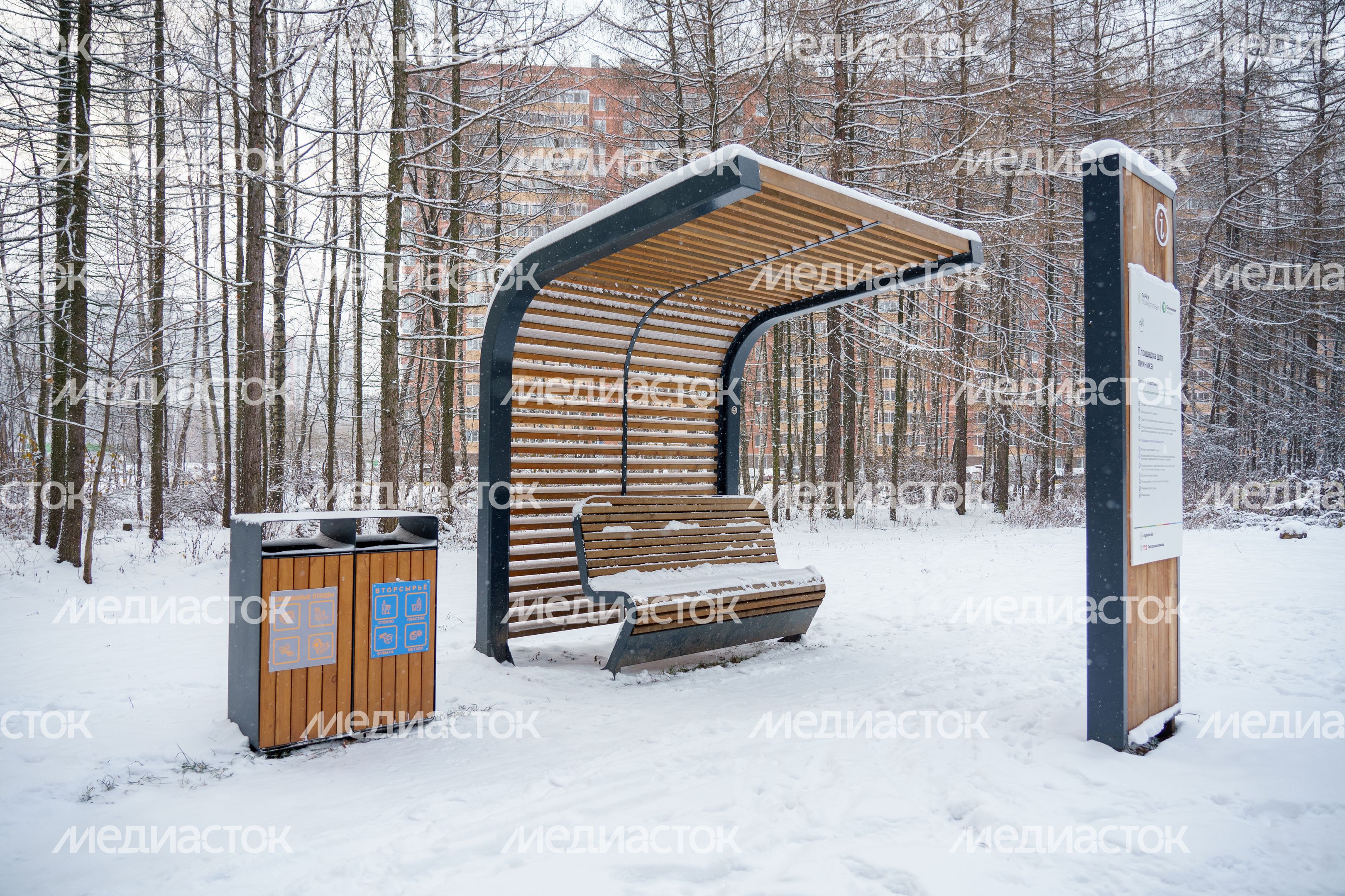 Балашиха. Ольгинский лесопарк. Зима