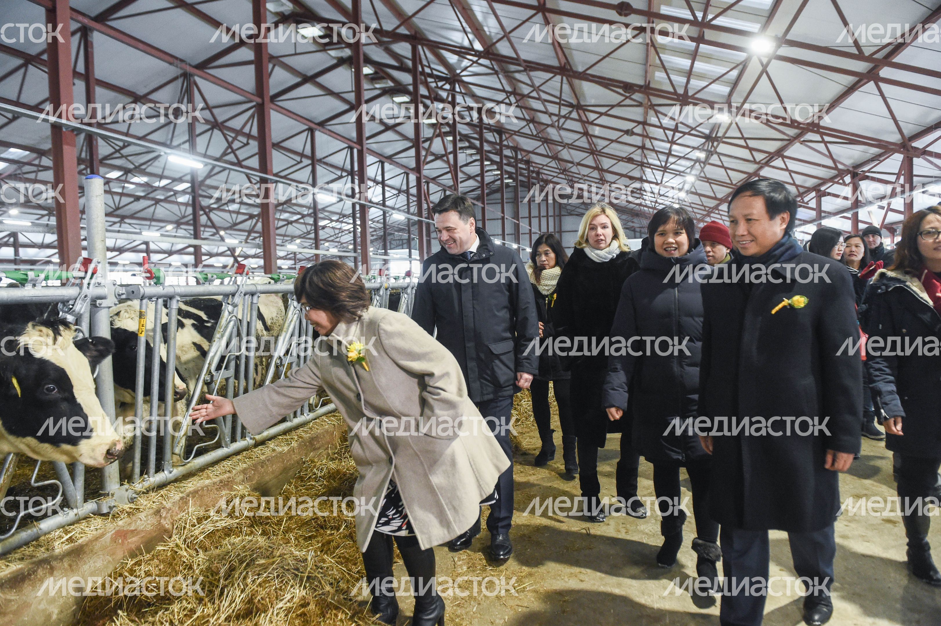Открытие нового молочного комплекса TH True Milk в Подмосковье, 2 часть