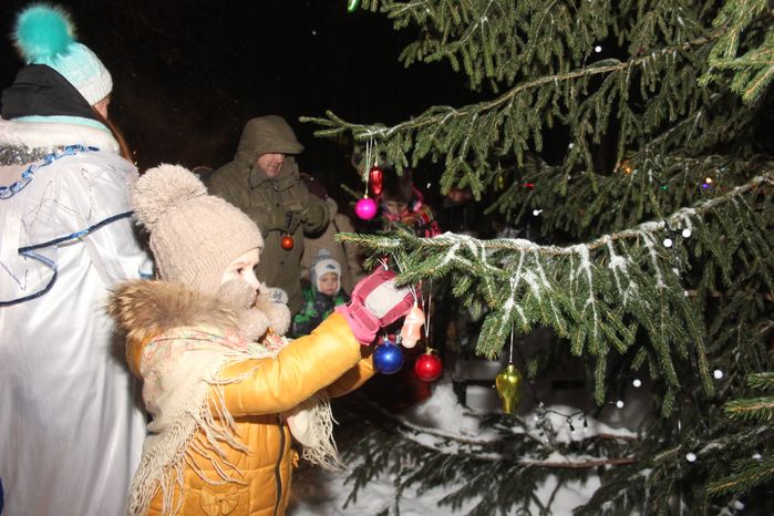 Новогодние декорации в Егорьевске