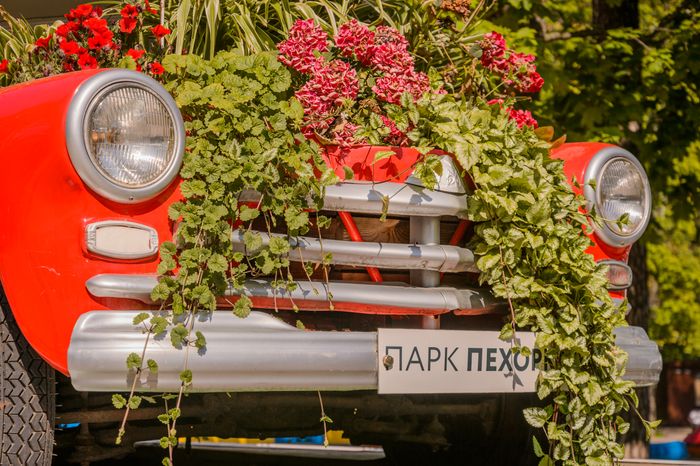 Парк Пехорка