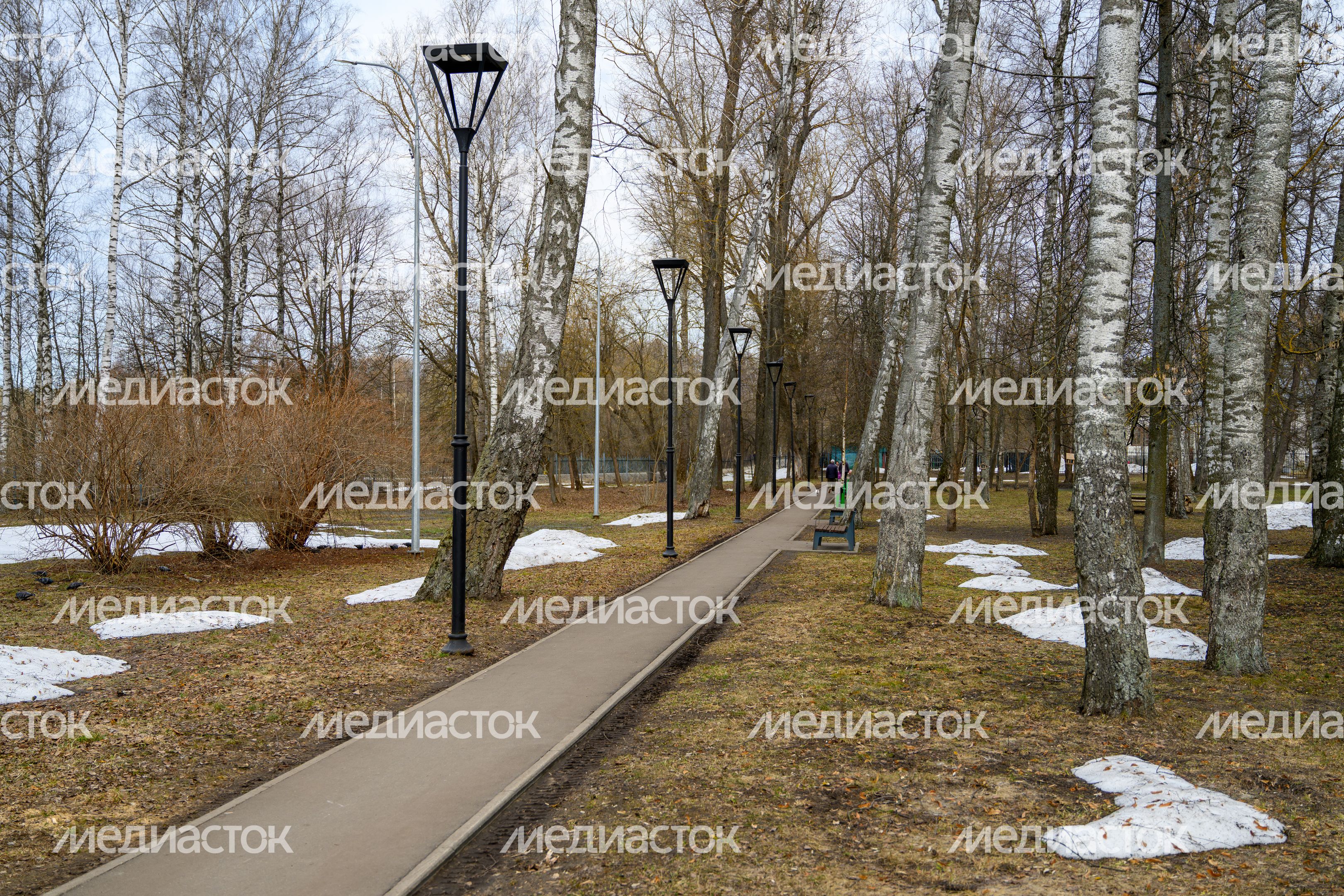 Дрезненский городской парк в Орехово-Зуевском округе. Весна Дрезненский городской парк в Орехово-Зуевском округе. Весна