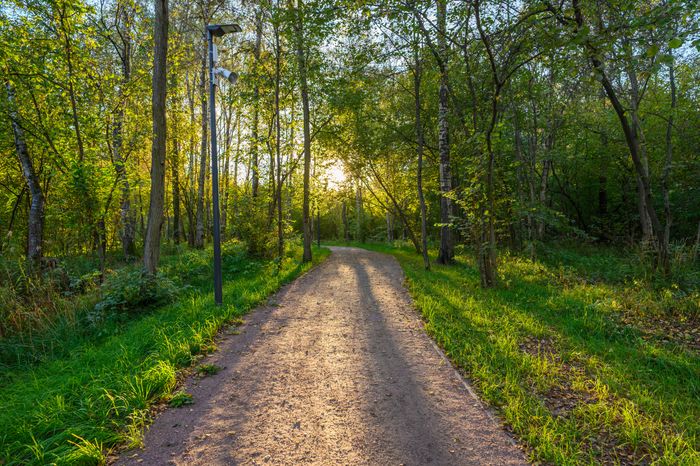Прогулка по парку Малевича осенью