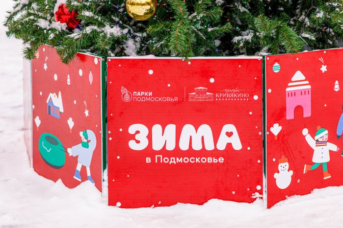 Воскресенск. Усадьба Кривякино. Зима