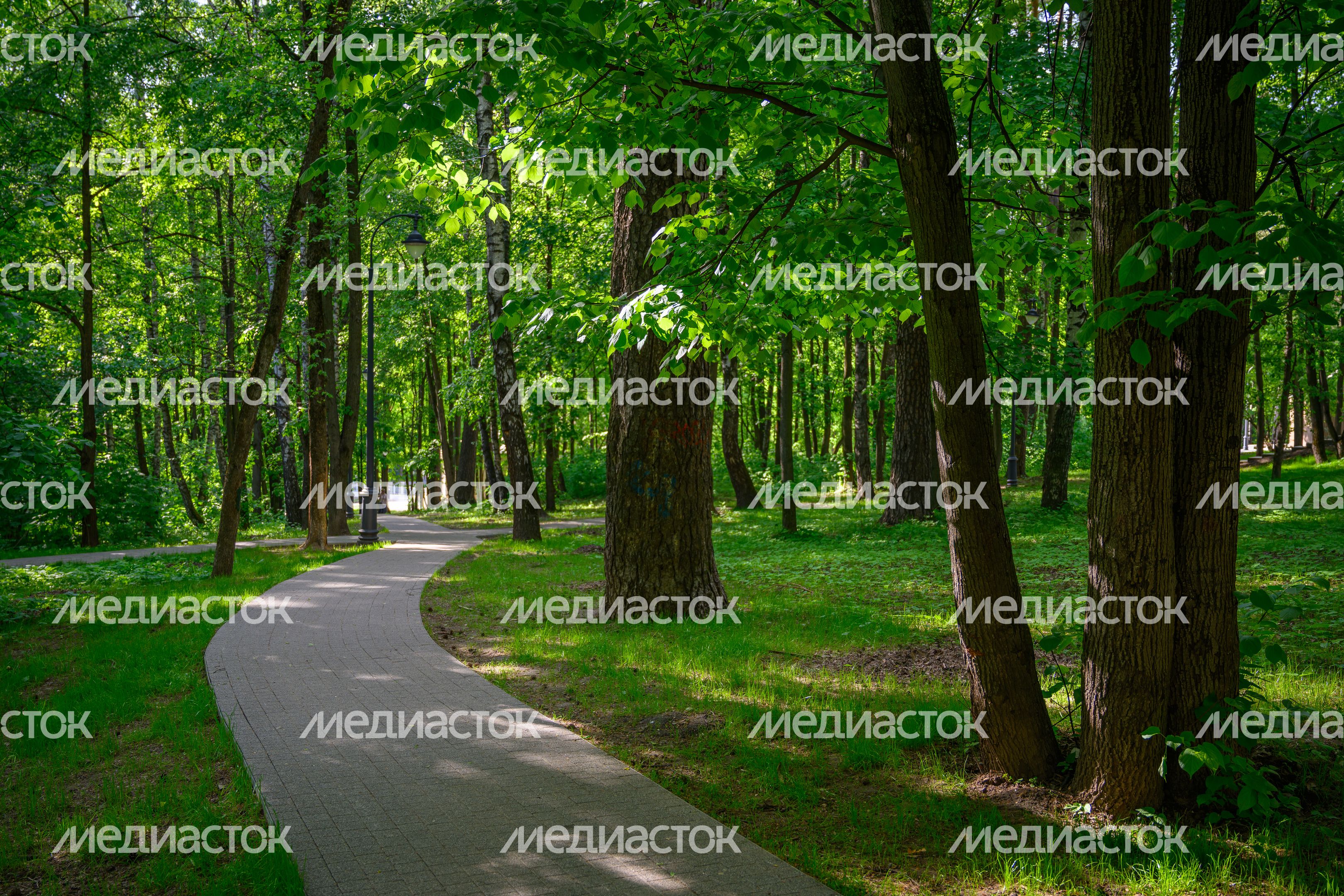 Красногорский городской парк после благоустройства