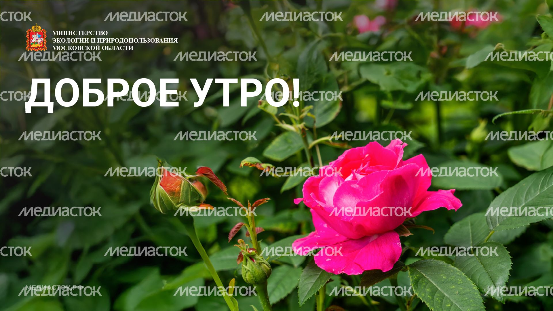 Доброе утро горизонталь 03