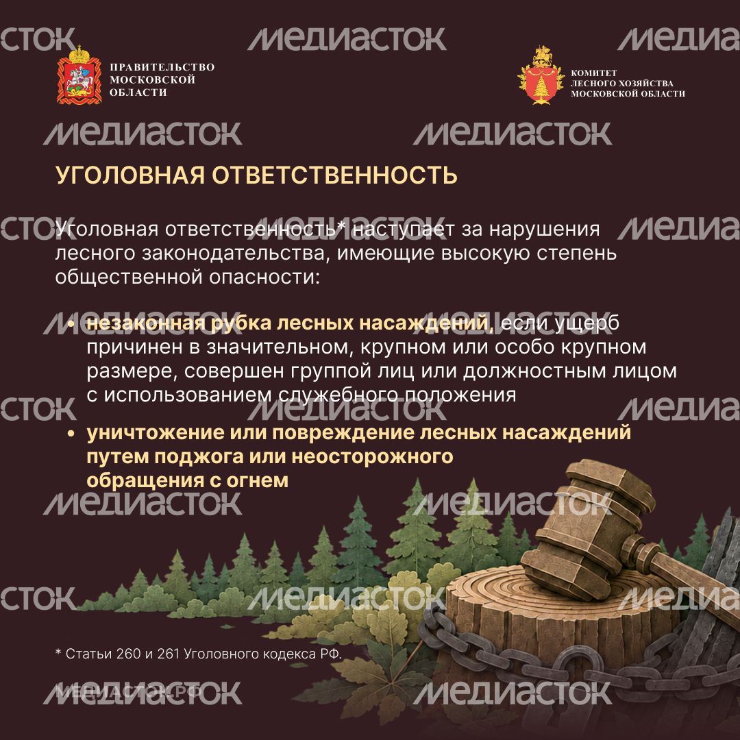 Самовольный захват и использование лесных участков квадрат 06