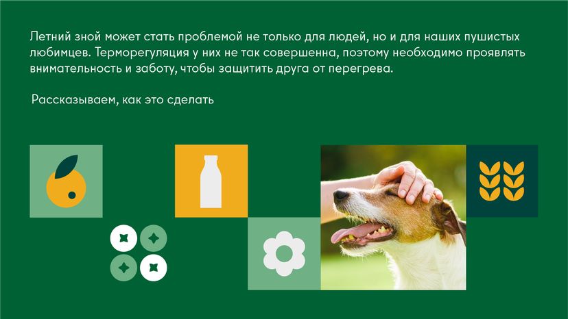 Как защитить домашнего любимца от перегрева во время жары горизонталь (2)