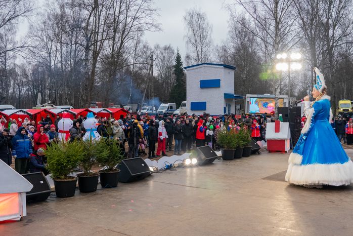 Главную новогоднюю елку страны спилили в Рузском округе