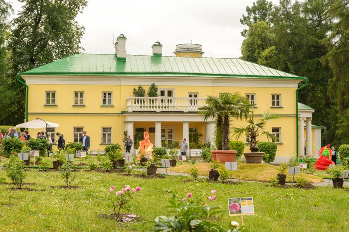 Пальмы и Розы Зинаиды Морозовой