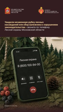 Валежник для собственных нужд вертикаль 10