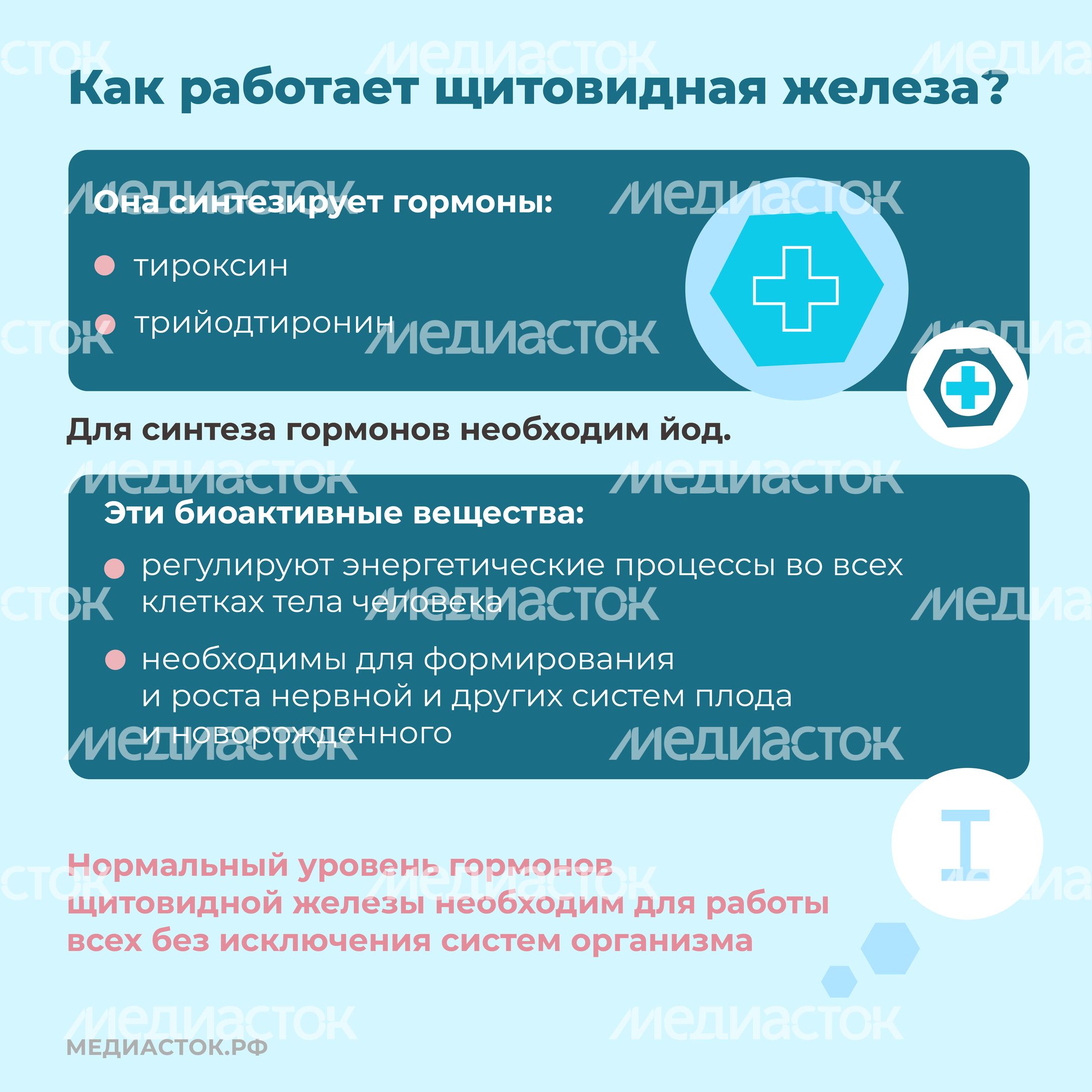 щитовидная железа семь вопросов квадрат 03 щитовидная железа семь вопросов квадрат 03