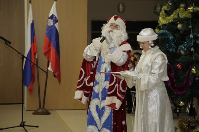 Телемост со Словенией в Дубне