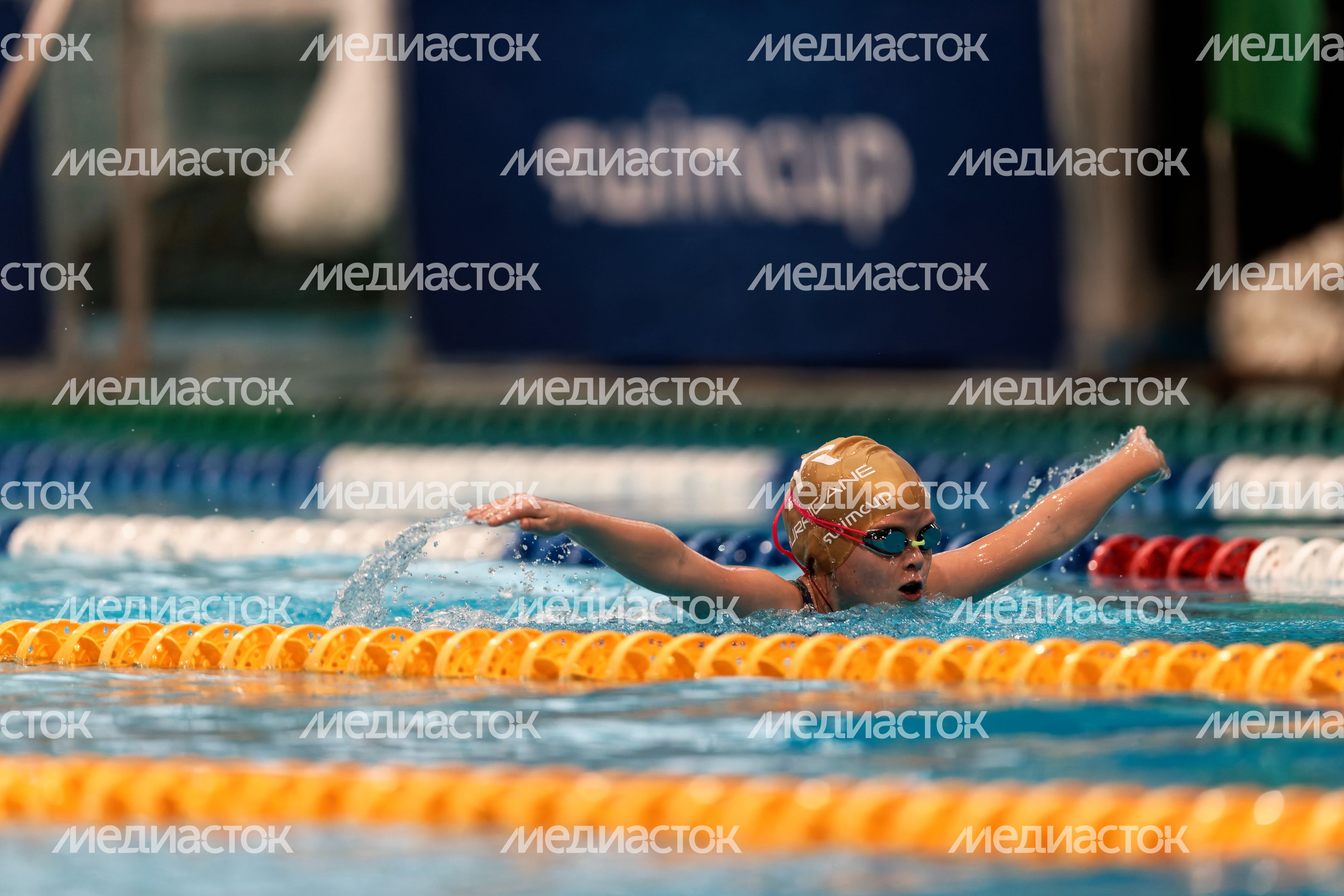 Первый турнир нового сезона Кубка чемпионов Swimcup по плаванию Первый турнир нового сезона Кубка чемпионов Swimcup по плаванию
