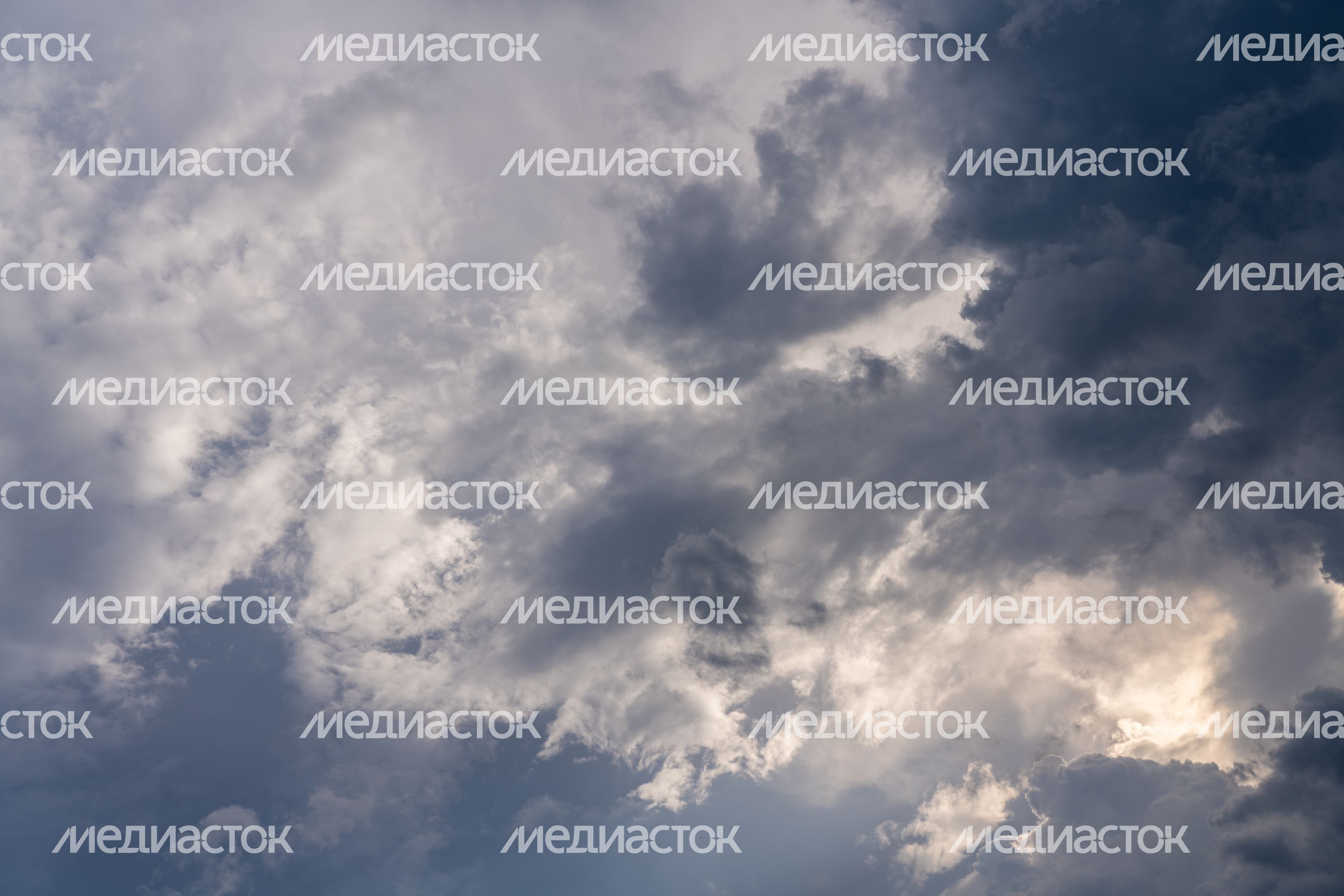 Хаски-деревня "Рузская Аляска". Лето