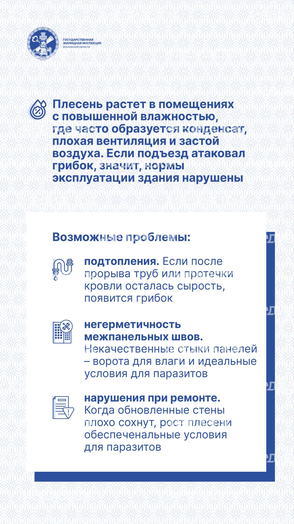Вертикаль Плесень 03.jpg