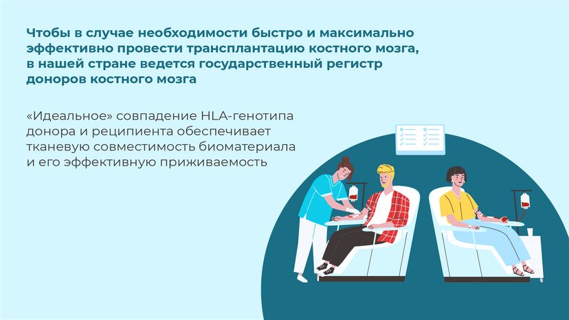 горизонталь-как-стать-донором-костного-мозга-05.png