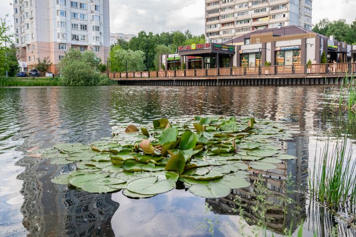 Благоустройство Комсомольского пруда в Одинцово