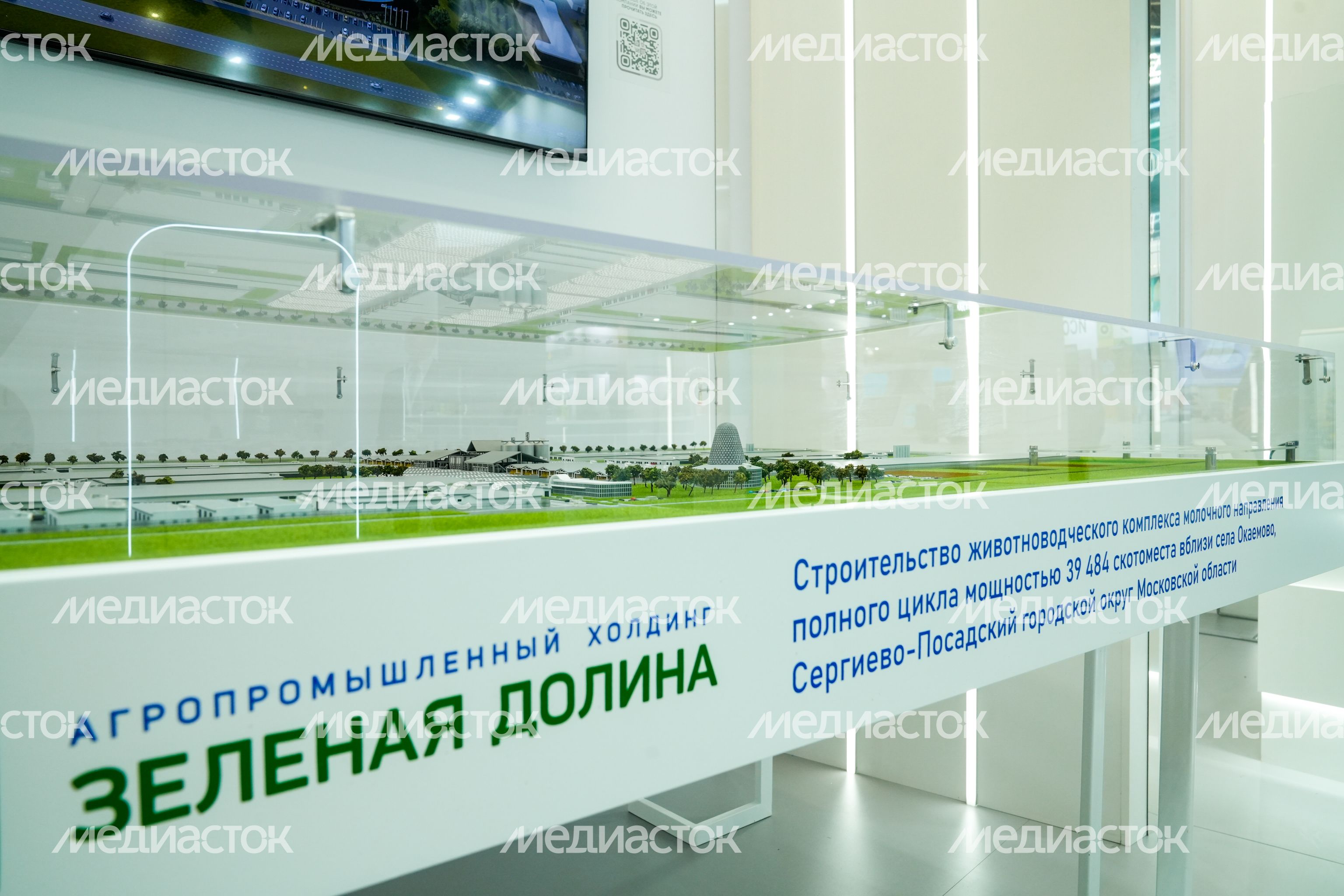 Стенд Подмосковья на выставке "Золотая осень - 2025" Стенд Подмосковья на выставке "Золотая осень - 2025"