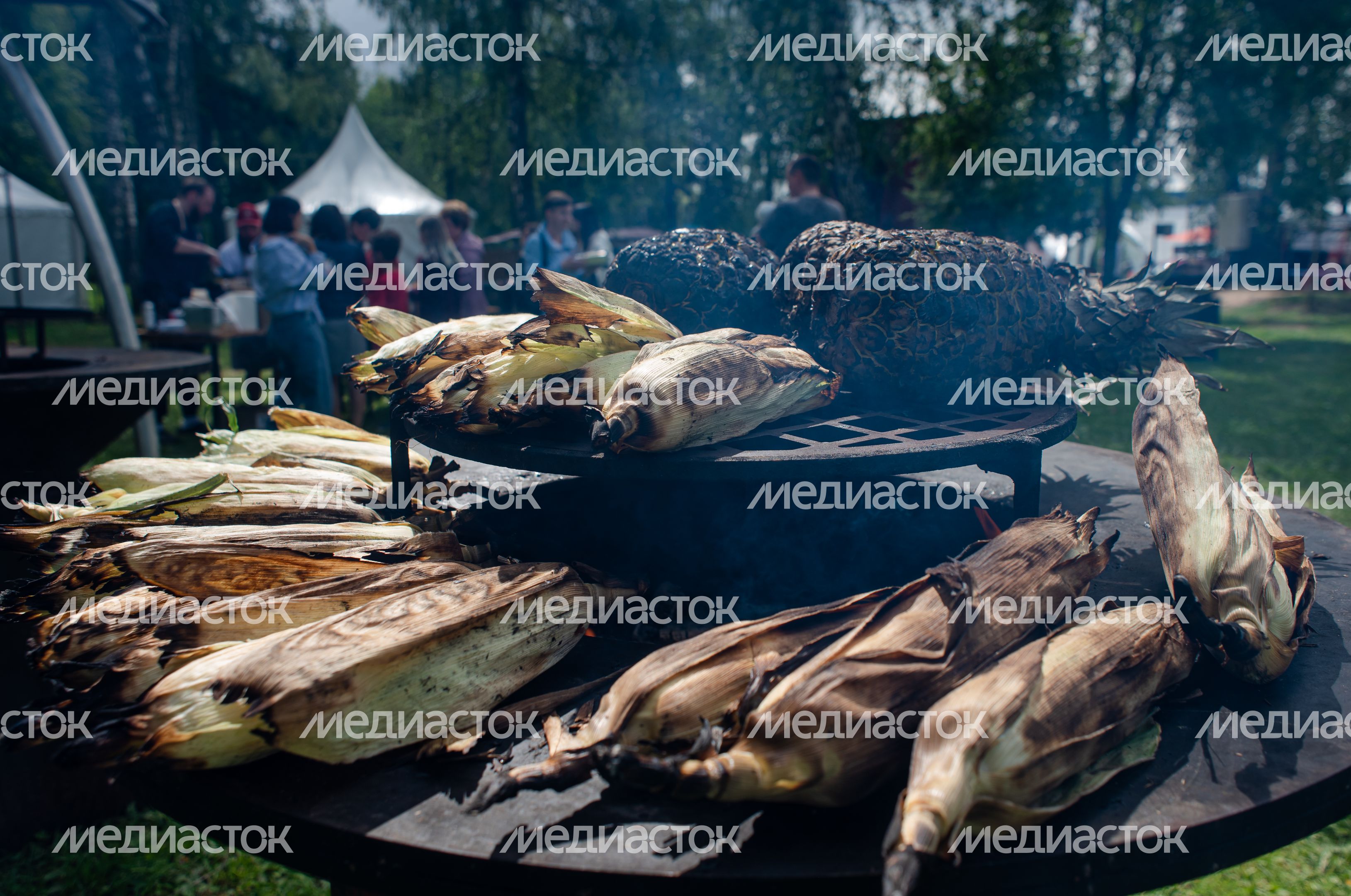 Гастрономический фестиваль Alpaca Wellbeing Fest