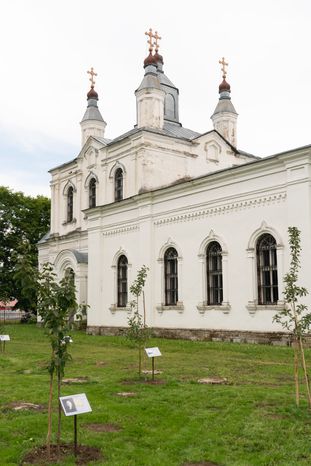 Шаховская. Воскресенский храм села Раменье