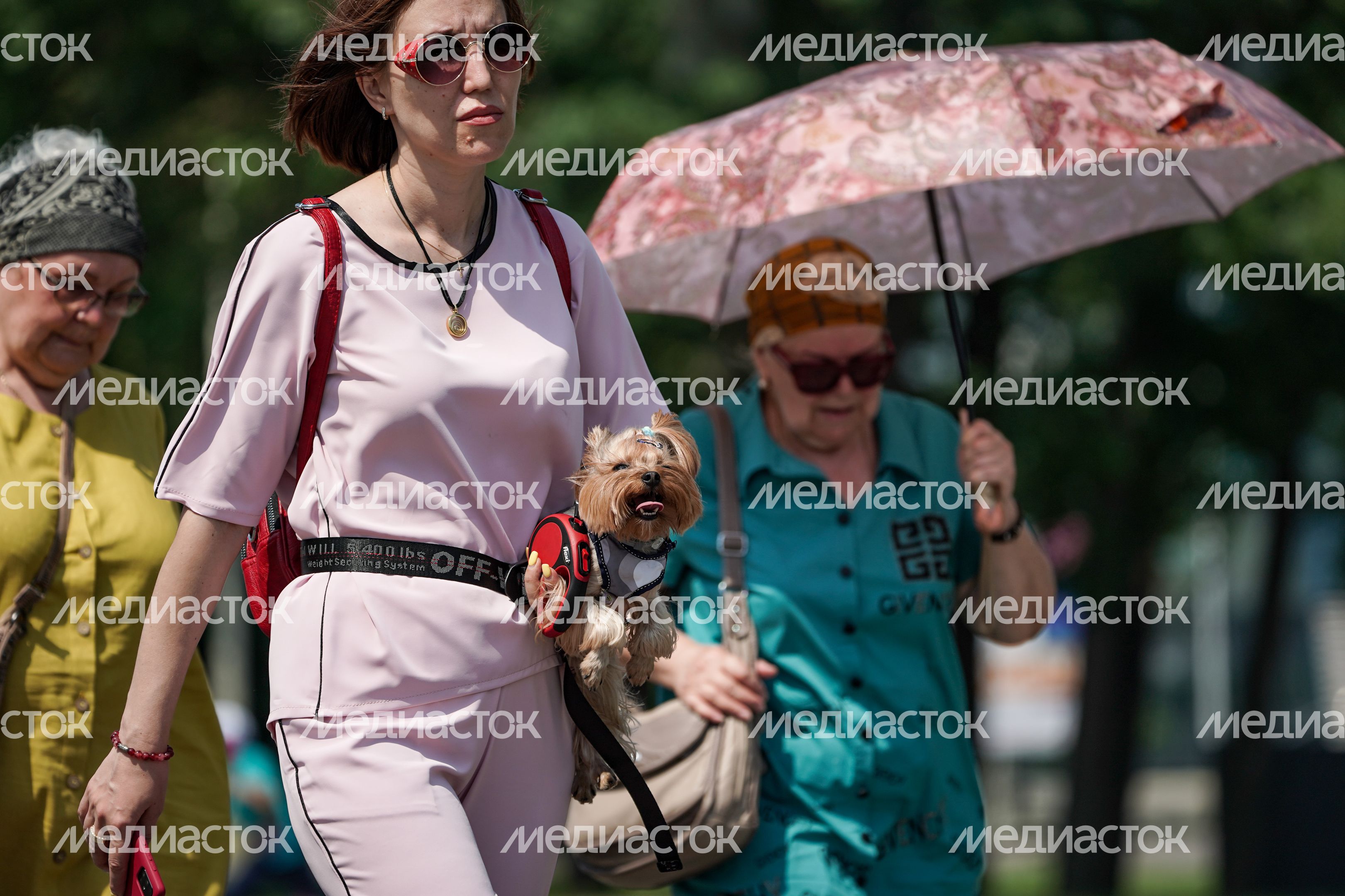 Аномальная жара в Москве