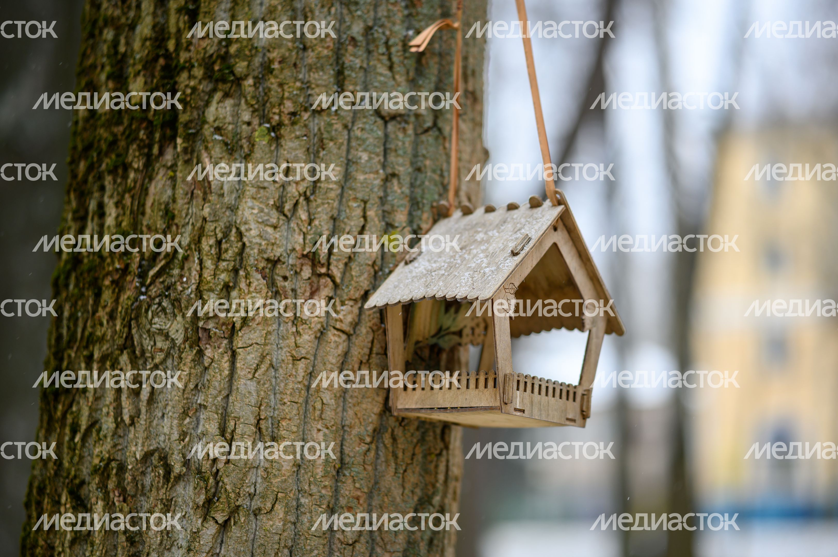 Кормушка для белок и птиц в парке усадьбы Кривякино в Воскресенске Кормушка для белок и птиц в парке усадьбы Кривякино в Воскресенске