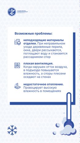 Вертикаль Плесень 04.jpg