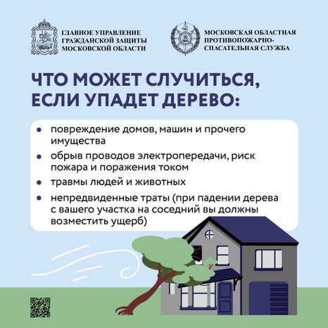 Аварийные деревья_Квадрат-02.jpg