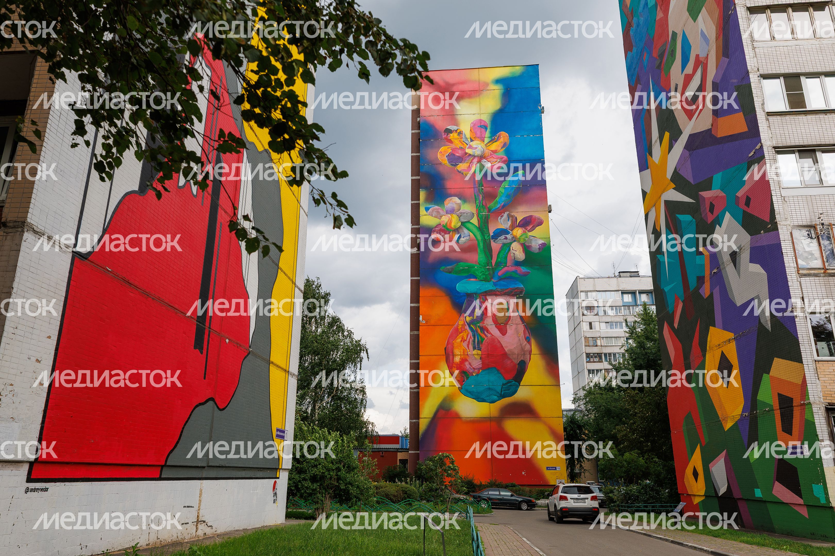 Муралы в Железнодорожном, Балашиха