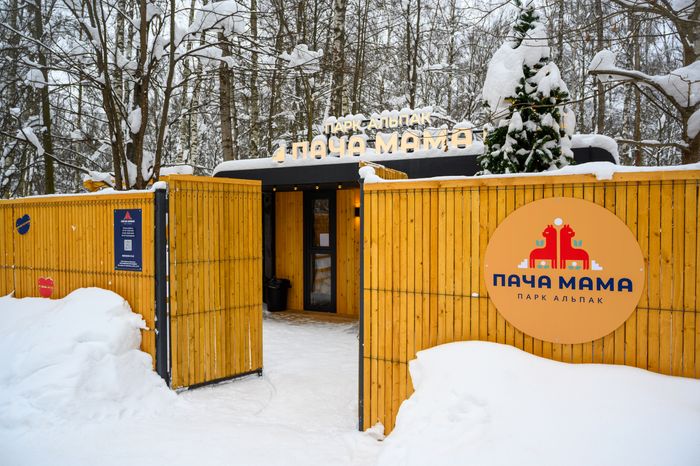 Парк альпак «Пача мама» в парке «Взлет» Домодедово