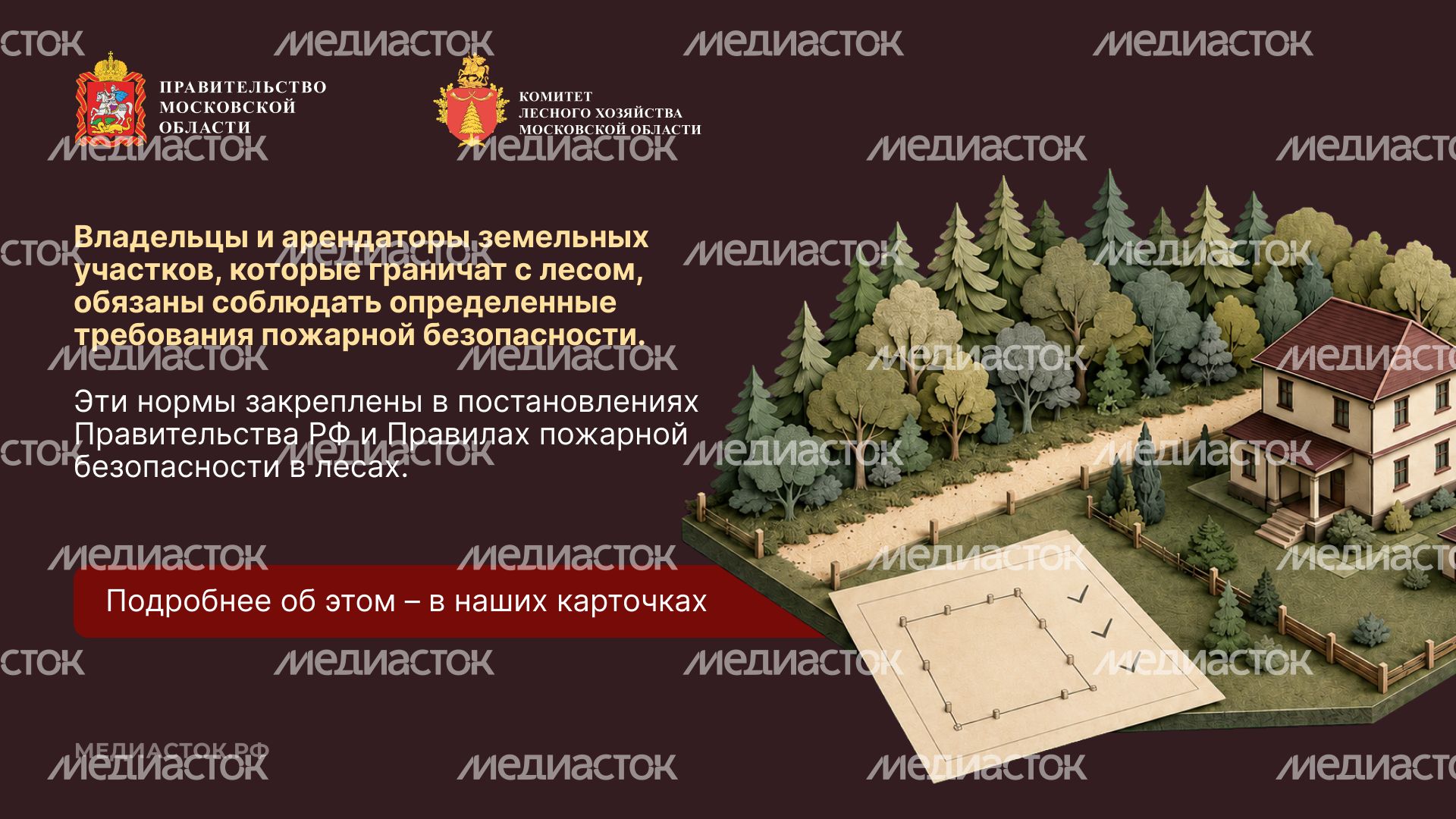 Живете рядом с лесом горизонталь 02