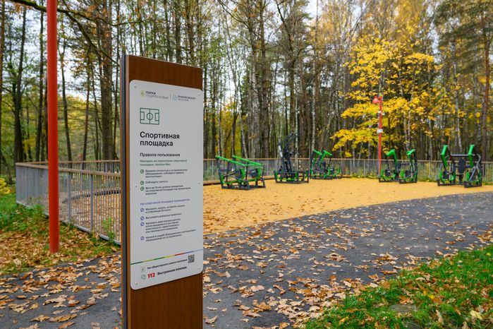 Спортивная площадка в Вишняковском лесопарке Балашихи после второго этапа благоустройства