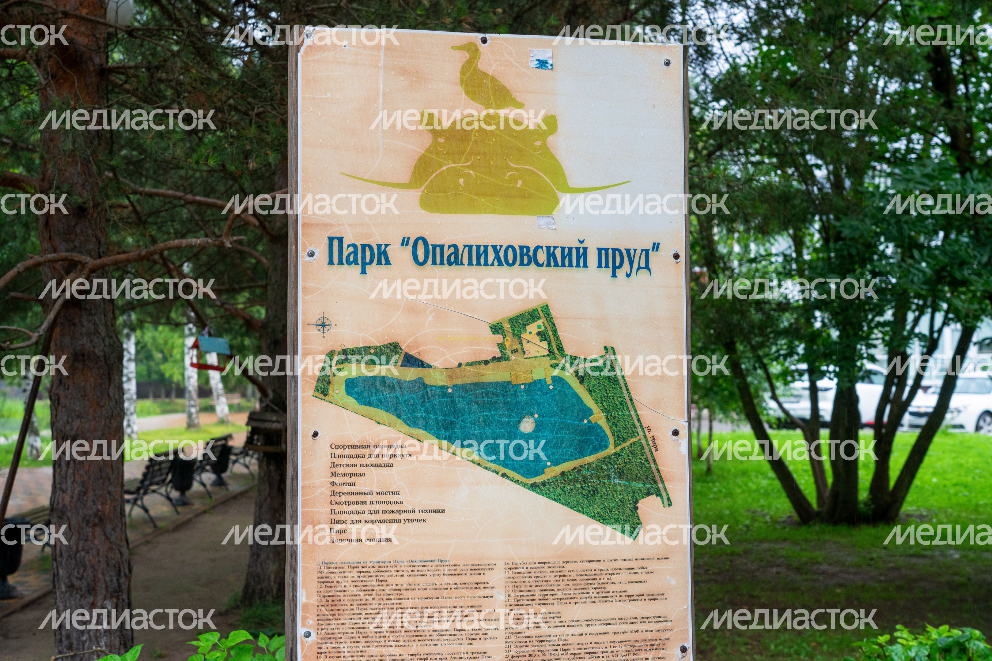 Дождь летом на набережной парка «Опалиховский пруд» Красногорска Дождь летом на набережной парка «Опалиховский пруд» Красногорска