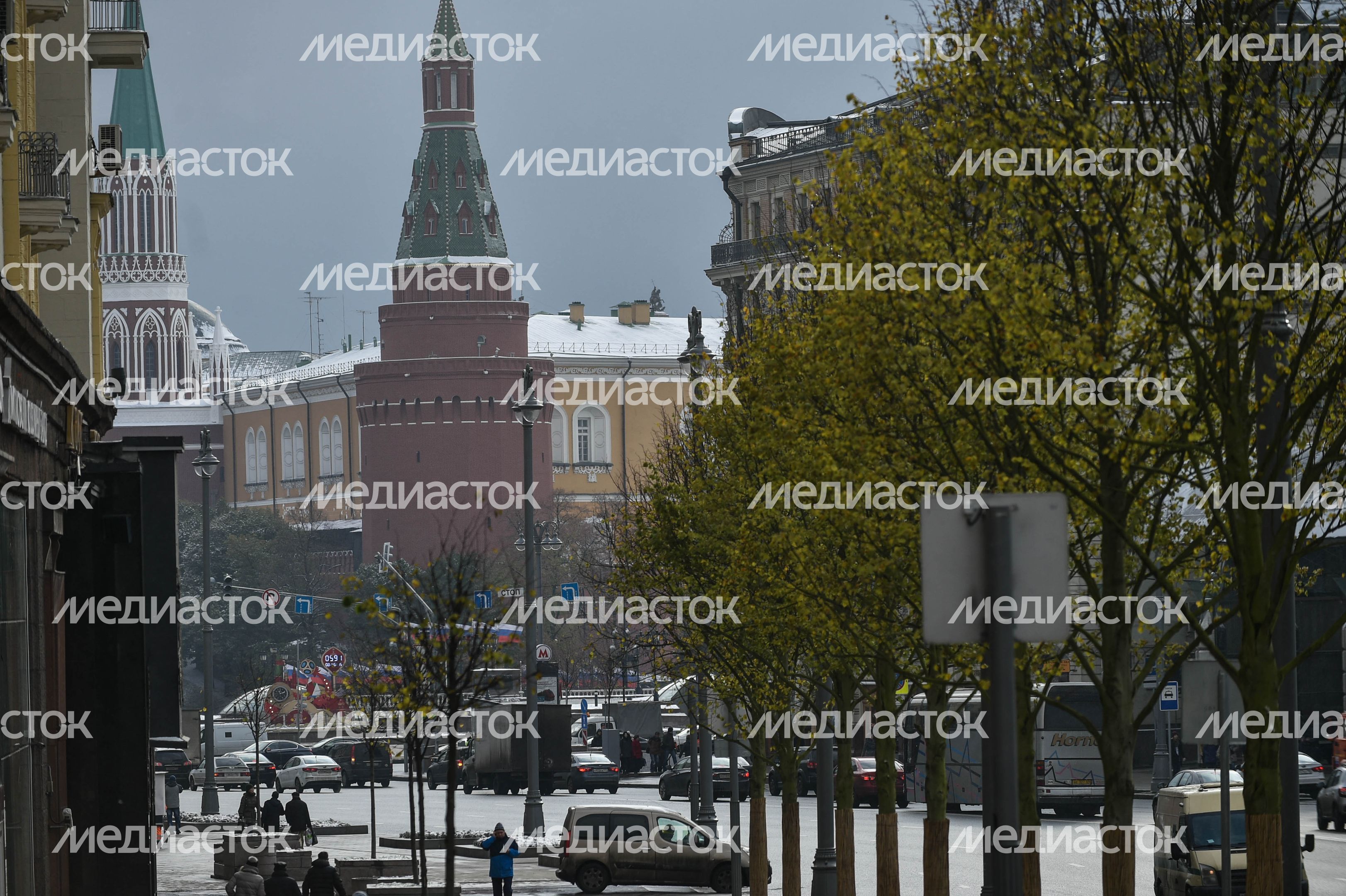 Посадка лип на Тверской улице