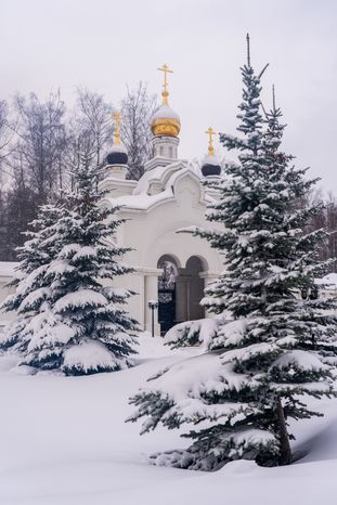 Храм Александра Невского в Истре
