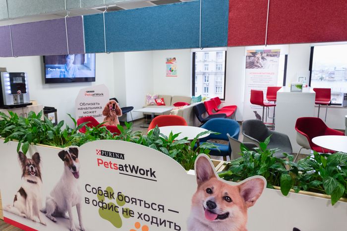 Pet‑friendly офис Purina